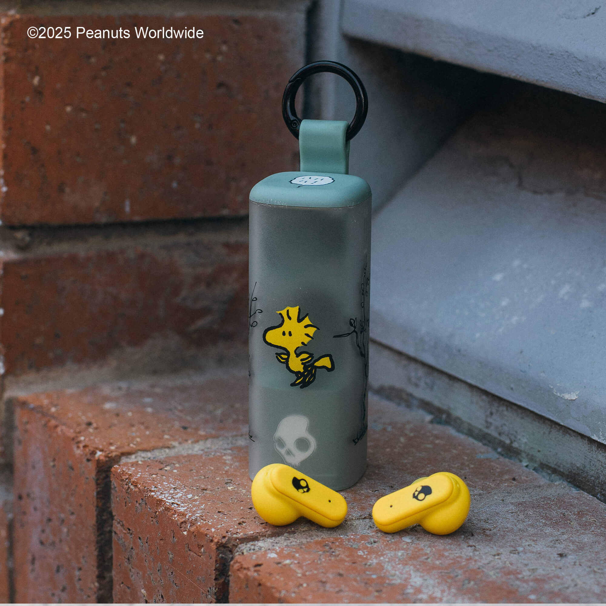 Product image 107